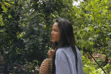 Video H'Hen Niê về quê nhặt sầu riêng bỗng "gây sốt", hút 10 triệu lượt xem