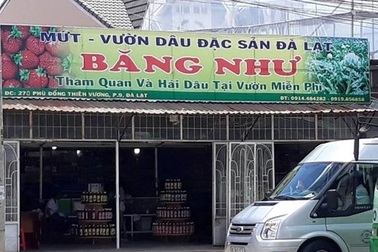 Phạt 2 cửa hàng đặc sản Đà Lạt sử dụng “cò” chèo kéo khách