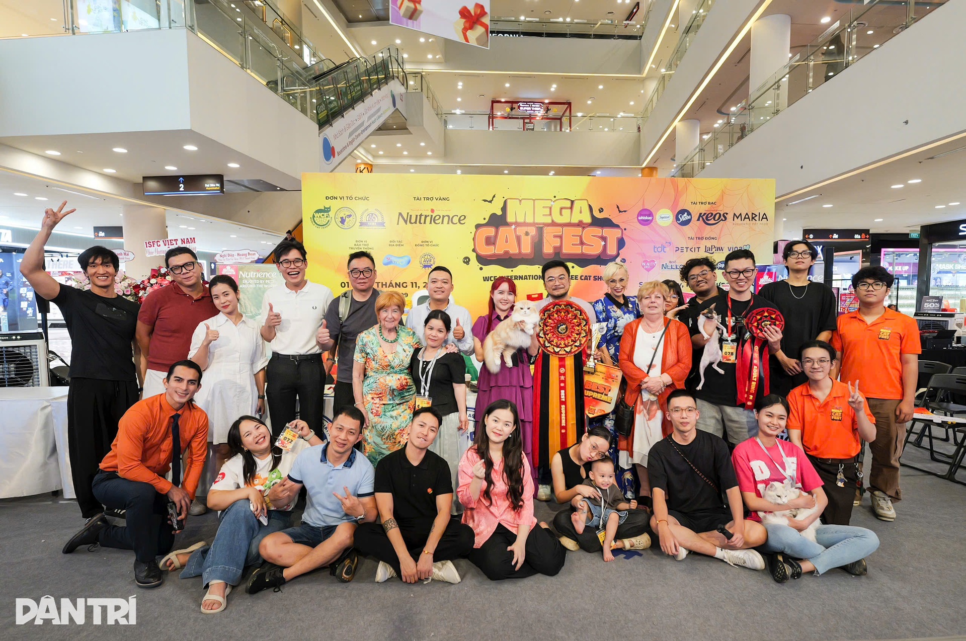 Chú mèo Thái Lan vượt 120 đối thủ, giành ngôi Hoa hậu mèo quốc tế 2025 - 10