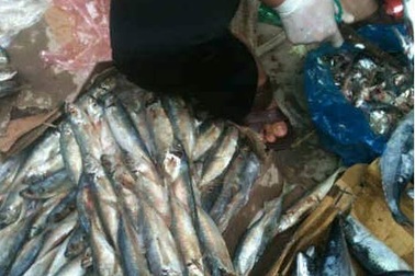 Cẩn thận cá nục “siêu rẻ” 