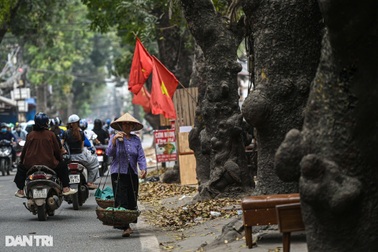 Bắc Bộ giảm mưa, ngày trời nắng