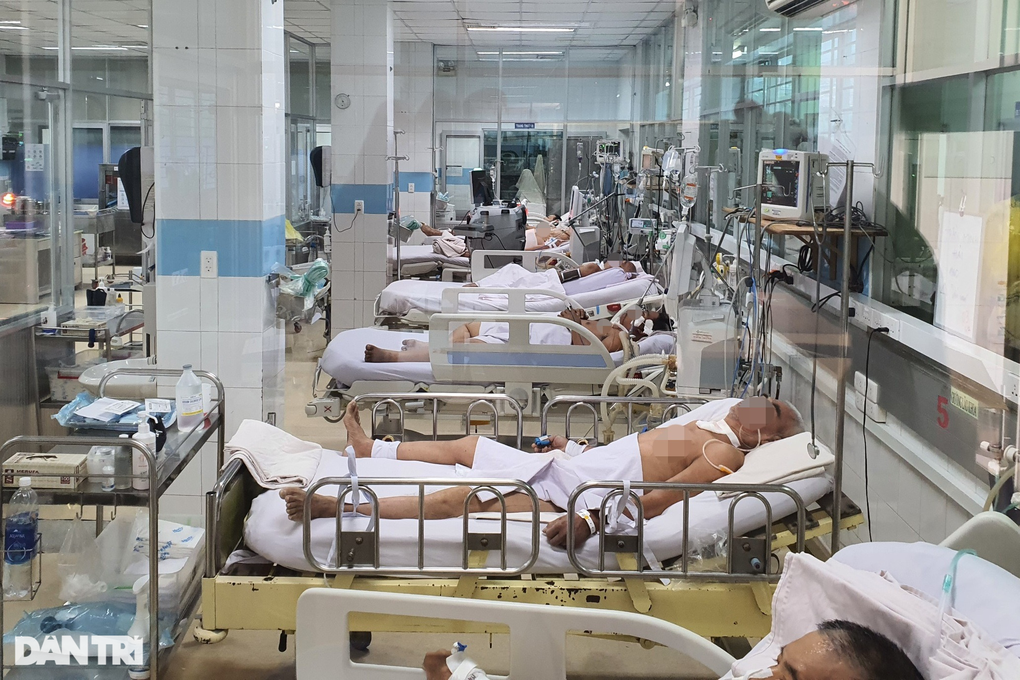 Ôm nợ hàng trăm triệu đồng, gia đình kiệt quệ vì sốt xuất huyết - 2 Ôm nợ hàng trăm triệu đồng, gia đình kiệt quệ vì sốt xuất huyết - 2