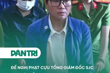 Đề nghị phạt cựu Tổng giám đốc SJC Lê Thúy Hằng 28-30 năm tù