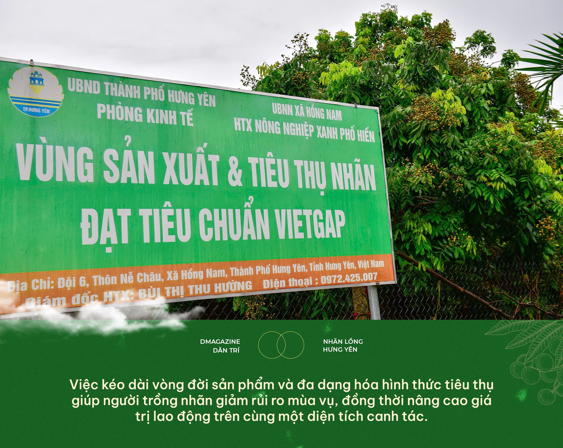 30 năm “giữ gen, định danh điện tử” đưa quả tiến vua vươn ra thế giới - 19 30 năm “giữ gen, định danh điện tử” đưa quả tiến vua vươn ra thế giới - 19