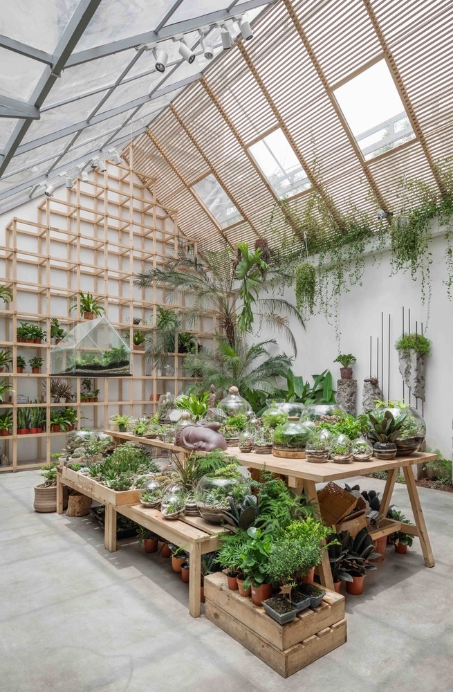 Quán cà phê như khu rừng nhiệt đới giữa lòng Hà Nội - 4 Quán cà phê như khu rừng nhiệt đới giữa lòng Hà Nội - 4