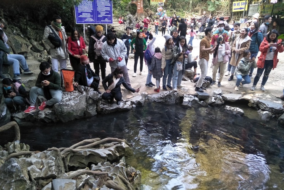 Hàng nghìn du khách chen chân đổ về suối cá thần cầu may dịp đầu năm mới - 6