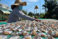 Các làng khô cá chạy đua chuẩn bị hàng Tết