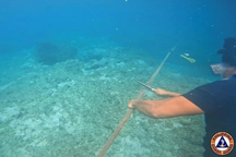 Philippines gỡ dây phao Trung Quốc ở bãi cạn trên Biển Đông