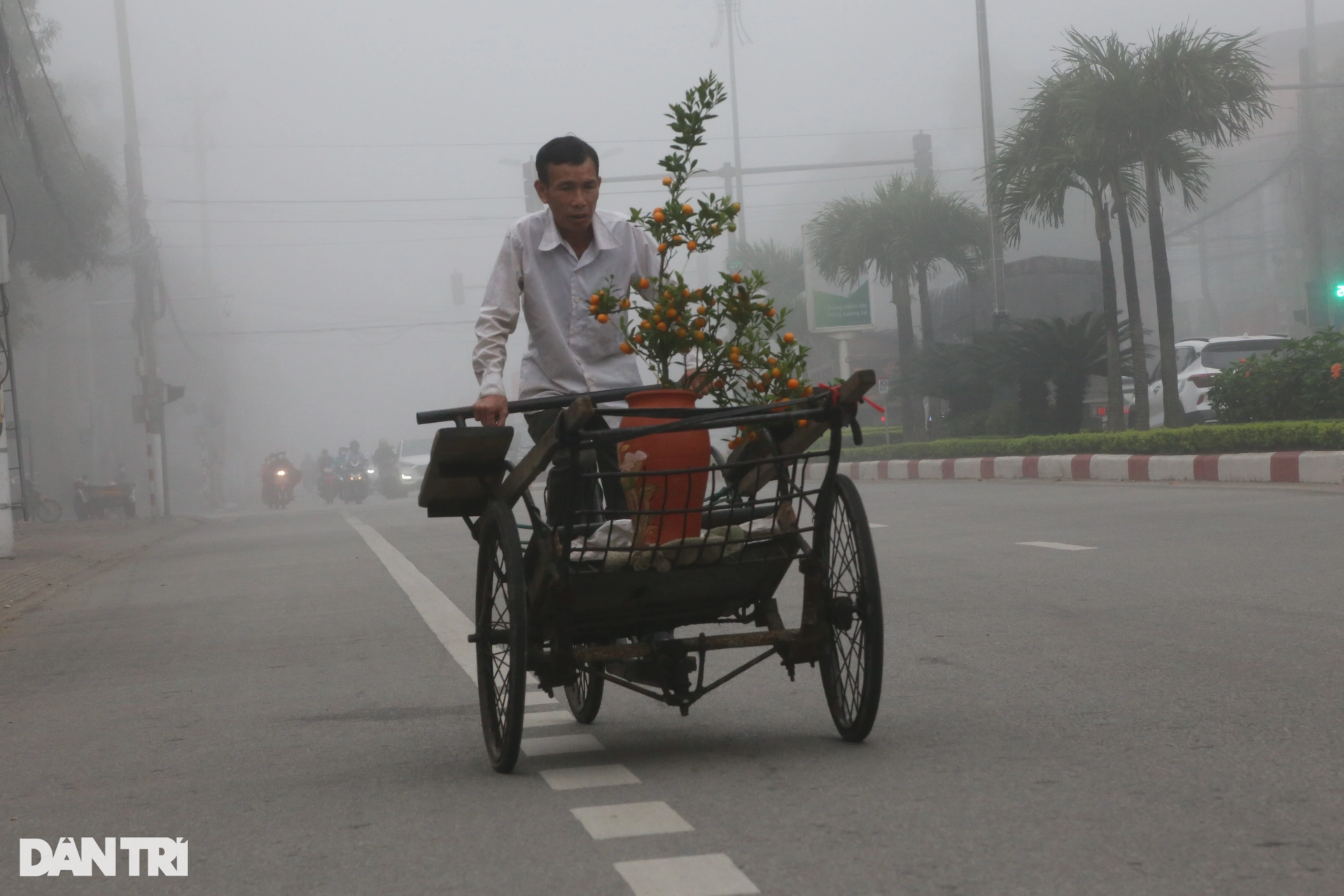 Nhiều tòa cao ốc ở Hà Tĩnh biến mất trong sương mù - 4 Nhiều tòa cao ốc ở Hà Tĩnh biến mất trong sương mù - 4