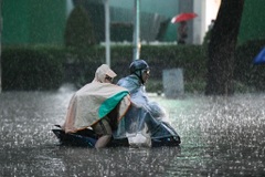 Chẳng cha mẹ nào muốn ép con mình học nhiều cả!