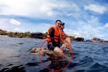 Phạm Quỳnh Anh, Quang Vinh xin lỗi sau khi bị chỉ trích vì ngồi lên san hô