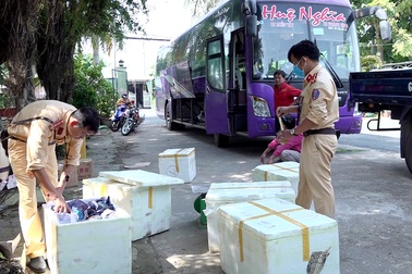 Liên tục bắt xe giường nằm vận chuyển số lượng lớn hàng lậu