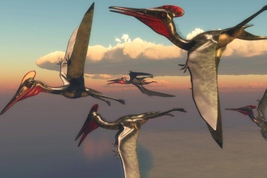 Phát hiện hàng trăm quả trứng hóa thạch của thằn lằn bay ở Trung Quốc