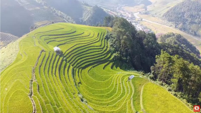 Huy Hay Đi ngây ngất trước vẻ đẹp của đồi Móng Ngựa, rừng tre ở Mù Cang Chải - Ảnh 2.