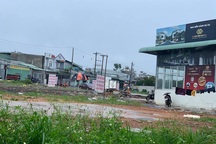 Chính phủ chỉ đạo TPHCM tăng cường cấp sổ hồng cho người dân