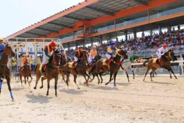 Trường đua 100 triệu USD của ông Dũng “Lò Vôi” sẽ có cá cược?