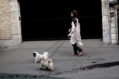 Iran có thể phạt nặng người nuôi thú cưng 