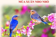 Cùng ngày thi lớp 10, đề văn An Giang và Bình Thuận chọn "Mùa xuân nho nhỏ"
