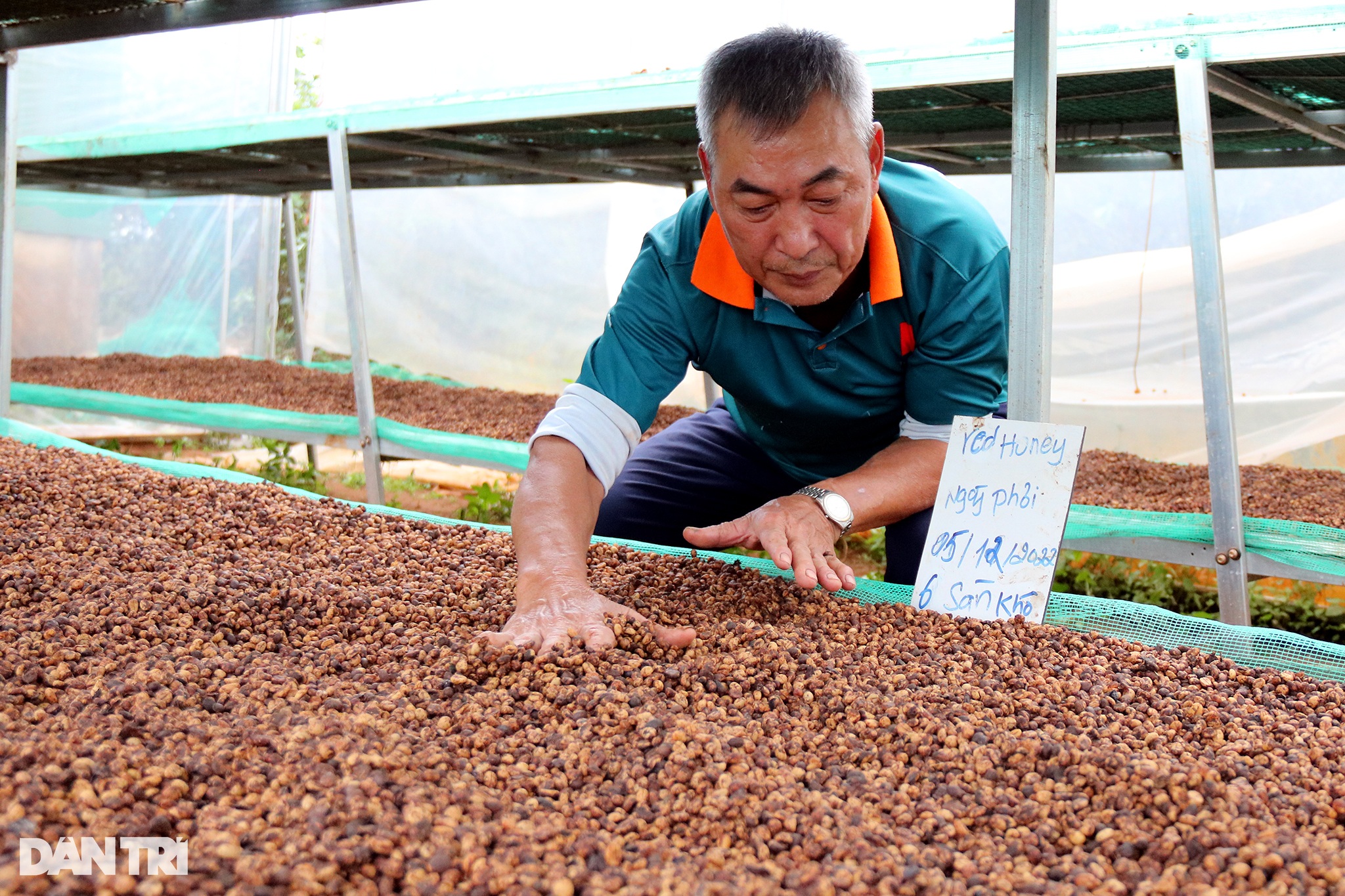 Kỳ công làm ra hạt cà phê đặc biệt, giá bán tăng gấp bội - 5 Kỳ công làm ra hạt cà phê đặc biệt, giá bán tăng gấp bội - 5