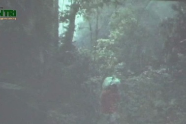 Hành trình khám phá hang động tại Quảng Bình do đoàn khám phá hang động Hoàng gia Anh ghi lại