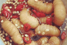 Những món ăn kinh dị nhất Việt Nam khiến khách Tây "khóc thét"