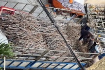 Chuyển vụ dân tố bị lực lượng cưỡng chế bán tài sản sang cơ quan điều tra