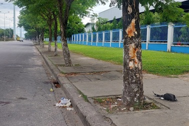 Đâm vào gốc cây, 3 thiếu nữ tử vong thương tâm