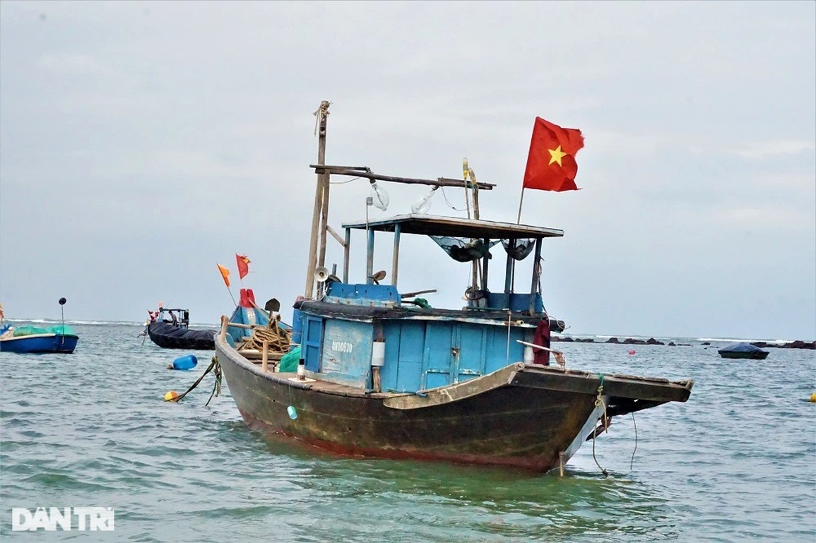 Nhà thơ không tên và chuyện chưa kể về nghĩa địa cá ông lớn nhất Việt Nam - 11 Nhà thơ không tên và chuyện chưa kể về nghĩa địa cá ông lớn nhất Việt Nam - 11