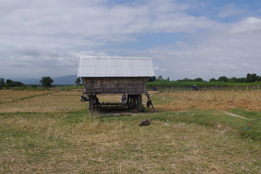 3 thanh niên dở trò đồi bại với thiếu nữ sau cuộc nhậu