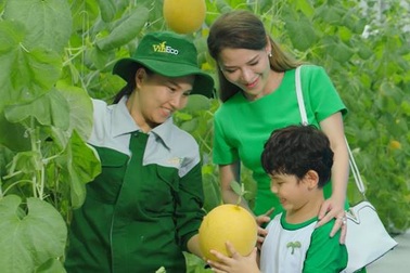 Tận mắt khám phá hành trình nông sản từ nông trường tới mâm cơm gia đình