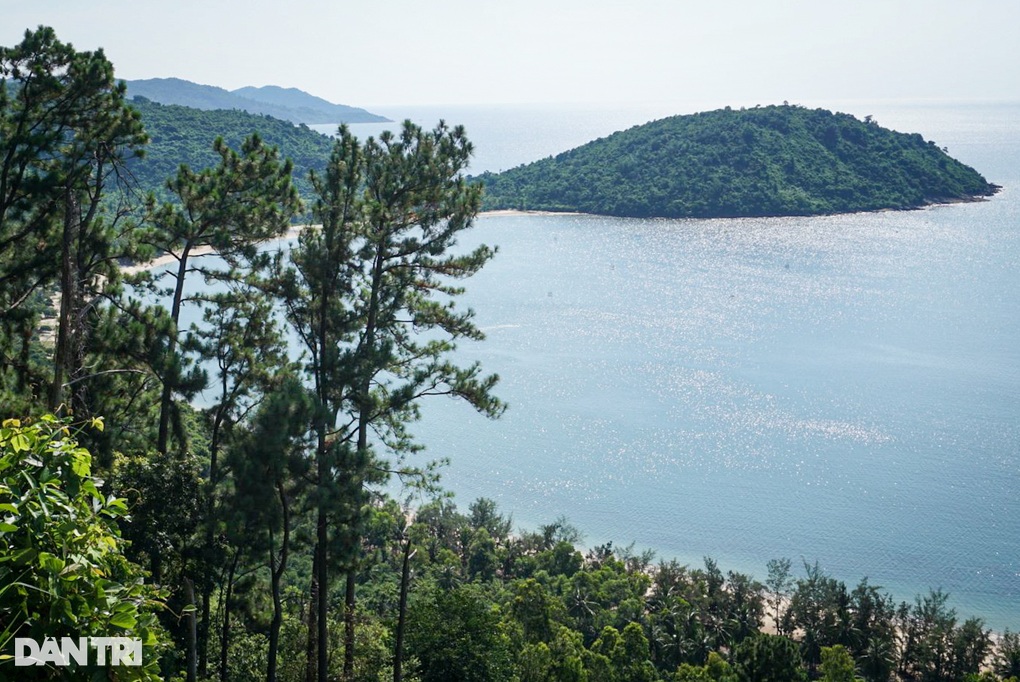 Đà Nẵng chuyển mục đích gần 80ha đất rừng trồng sang làm dự án - 1 Đà Nẵng chuyển mục đích gần 80ha đất rừng trồng sang làm dự án - 1