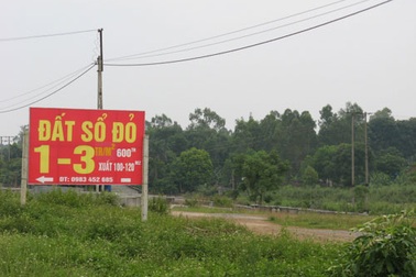 Lên Ba Vì mua đất được "biếu" thêm đất