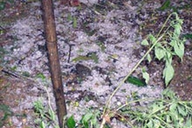 Hà Tây: Hơn 500 học sinh phải nghỉ học vì lốc xoáy và mưa đá