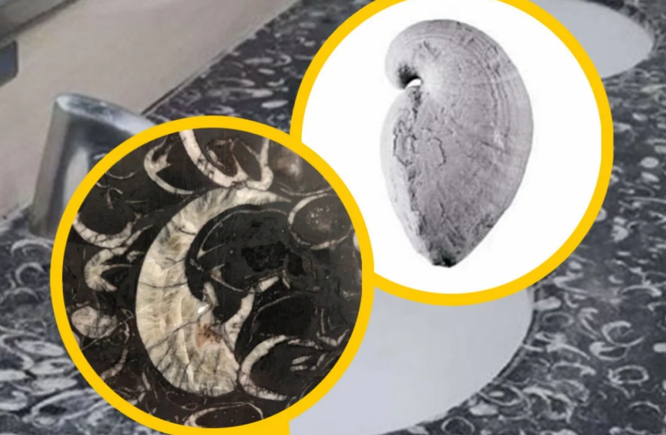 Nhà vệ sinh bỗng trở thành điểm du lịch nổi tiếng nhờ điều bất ngờ - 1 Nhà vệ sinh bỗng trở thành điểm du lịch nổi tiếng nhờ điều bất ngờ - 1