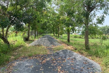 TPHCM: "Nguồn thu từ đất quá khiêm tốn so với tiềm năng"