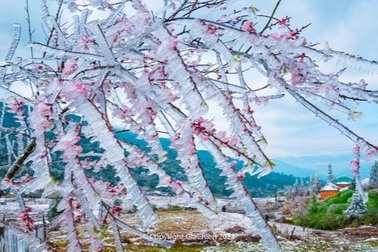 Phong cảnh Tây Bắc tuyệt đẹp qua ống kính