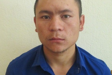 Bắt tạm giam 2 đối tượng bị cáo buộc trộm 150 gốc sâm Ngọc Linh