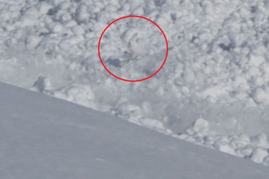 Ấn tượng khoảnh khắc thỏ con quả cảm băng qua vùng tuyết lở