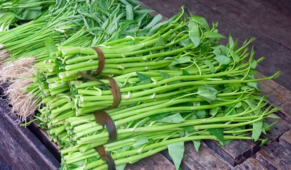 Những công dụng tuyệt vời của rau muống có thể bạn chưa biết - 3 Những công dụng tuyệt vời của rau muống có thể bạn chưa biết - 3