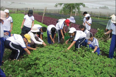 Những tiết học “cháy giáo án”