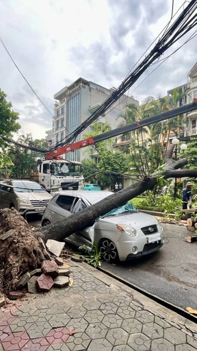 Hiện trường cây xanh bật gốc đè nát ô tô ở Hà Nội