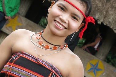 Những bông hoa của núi rừng