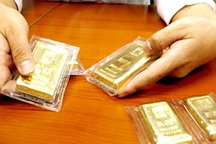 Tiếp tục tăng mạnh, giá vàng "ngóng" bầu cử Mỹ