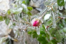 Nền nhiệt giảm sâu, băng mỏng xuất hiện nhiều nơi ở Điện Biên