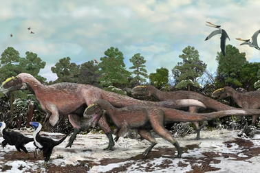 Khám phá mới về khủng long nổi bật tuần qua