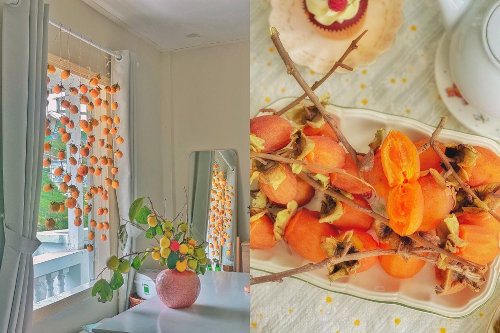 Vườn hồng trĩu quả giữa Đà Lạt của vợ chồng bỏ phố về núi - 12 Vườn hồng trĩu quả giữa Đà Lạt của vợ chồng bỏ phố về núi - 12