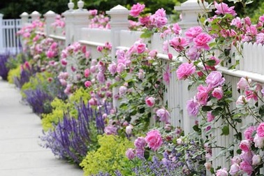 Khu vườn của riêng em