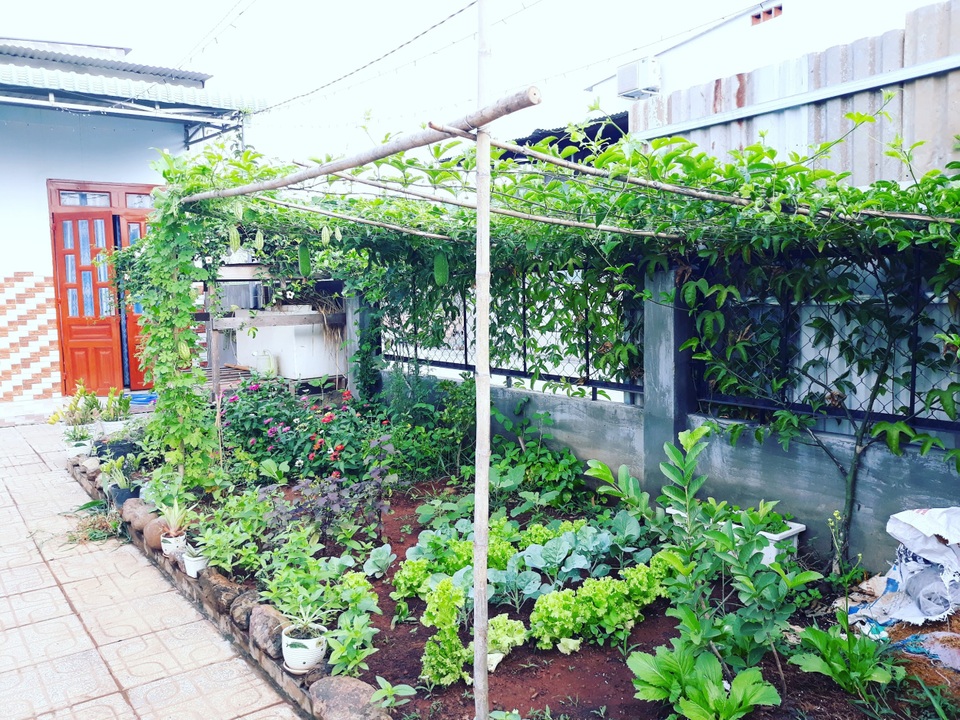 Tiết kiệm 100 triệu, vợ chồng trẻ ở Đồng Nai bỏ phố về quê đào ao, thả cá - 10 Tiết kiệm 100 triệu, vợ chồng trẻ ở Đồng Nai bỏ phố về quê đào ao, thả cá - 10