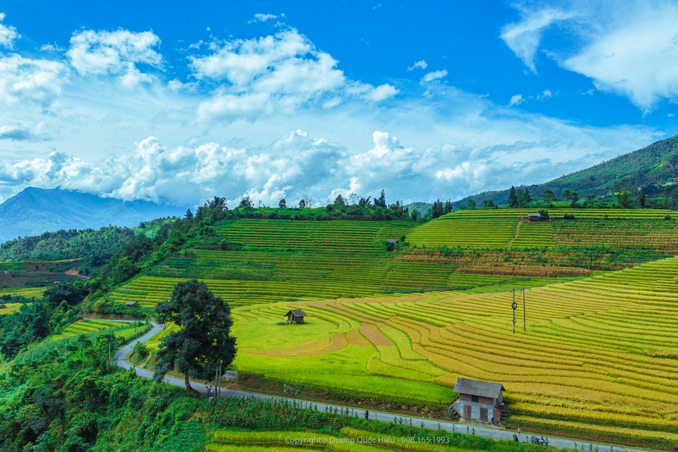 Sa Pa quyến rũ mùa lúa thay màu! - 5 Sa Pa quyến rũ mùa lúa thay màu! - 5