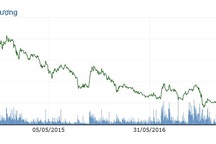 Cổ phiếu Tân Tạo “lên đồng” sau một tuyên bố của ông Đặng Thành Tâm